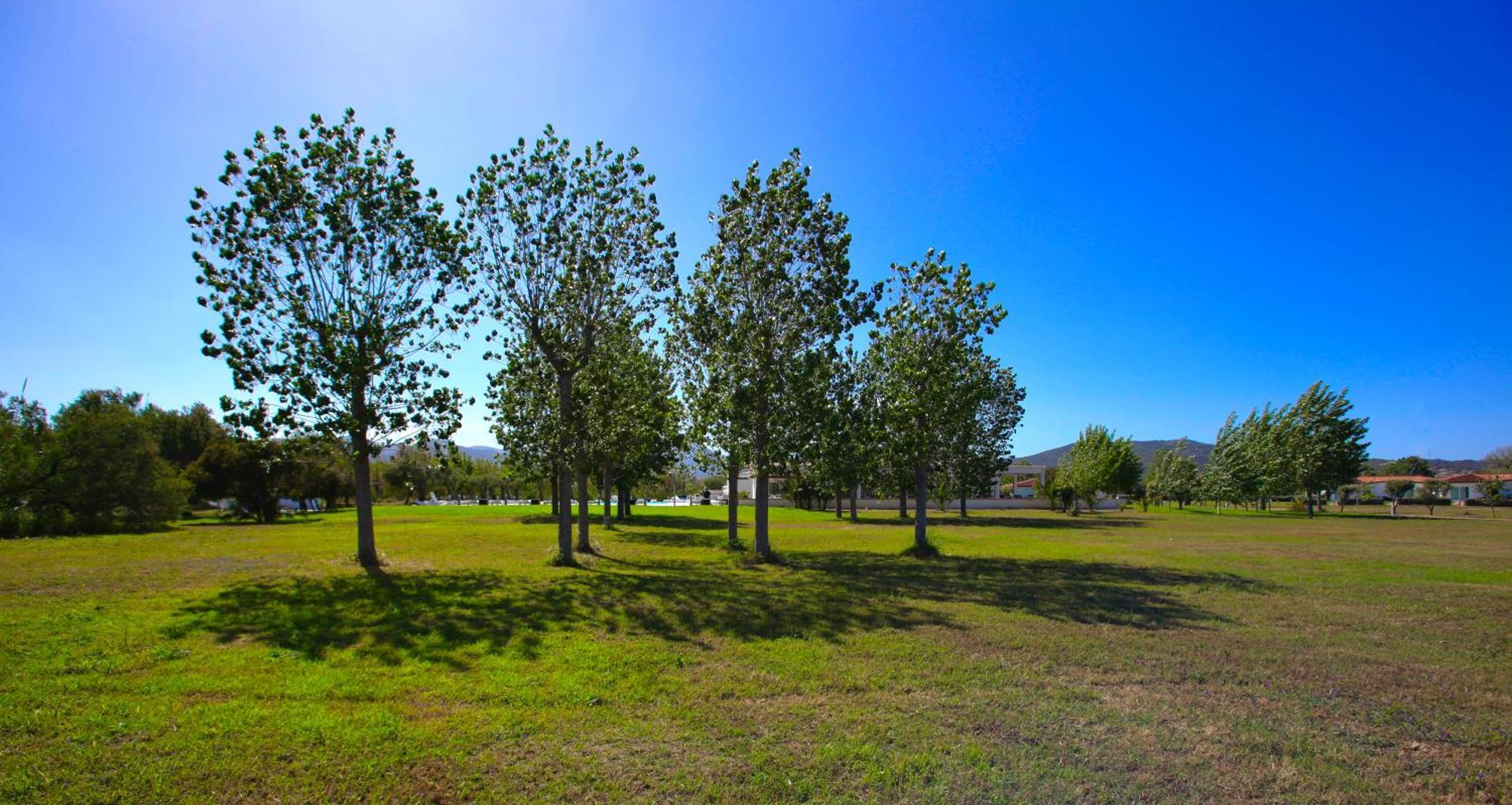 Resort Abbaia Ba Budoni Bagian luar foto