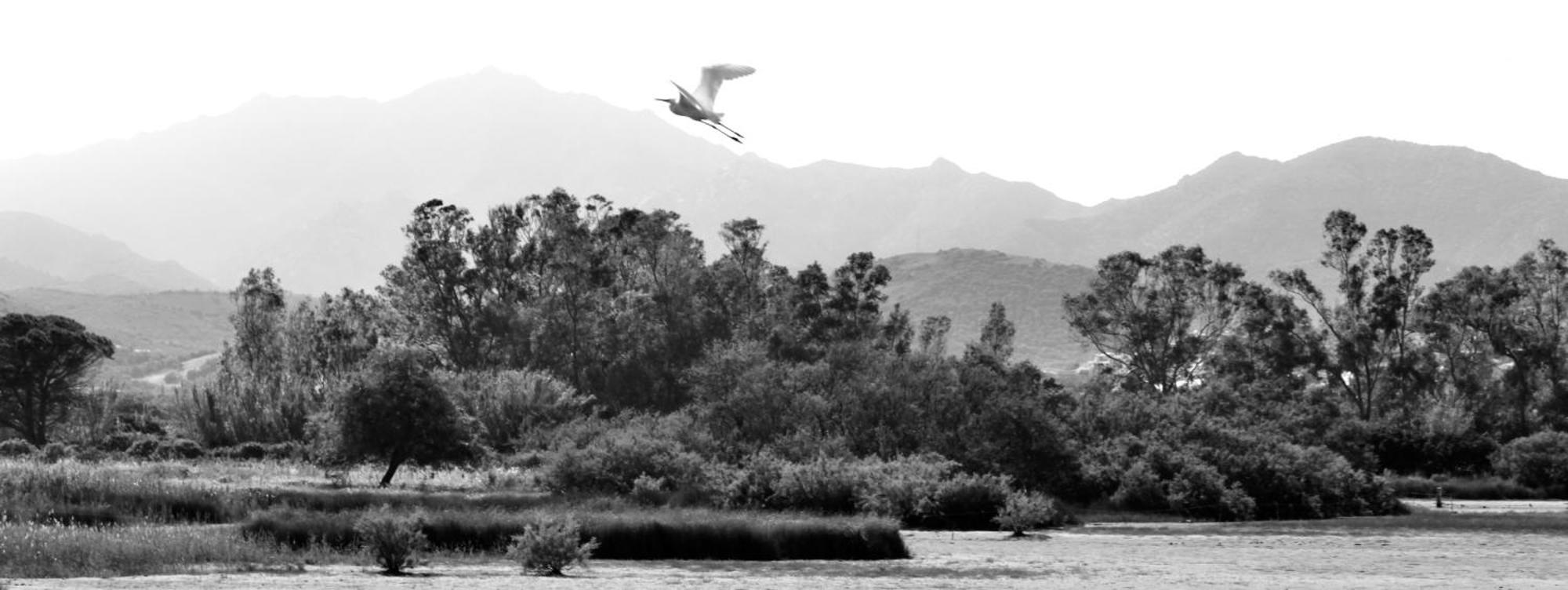 Resort Abbaia Ba Budoni Bagian luar foto