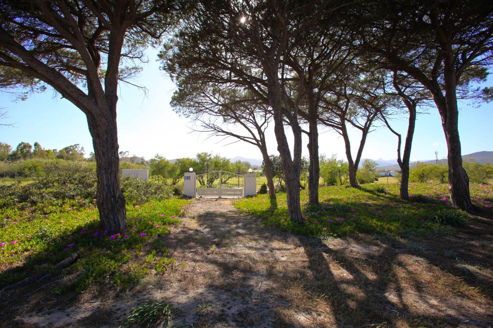 Resort Abbaia Ba Budoni Bagian luar foto