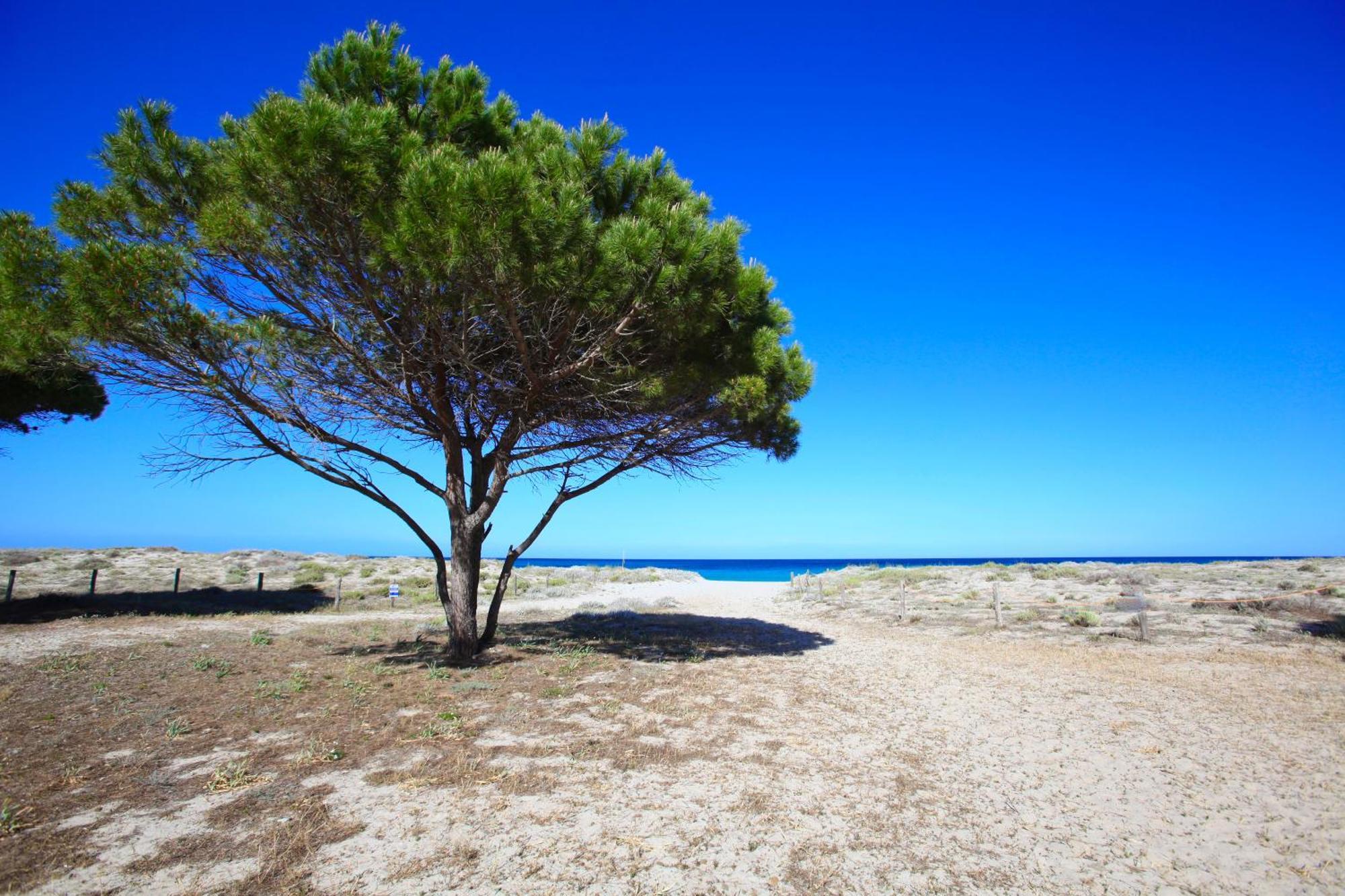 Resort Abbaia Ba Budoni Bagian luar foto