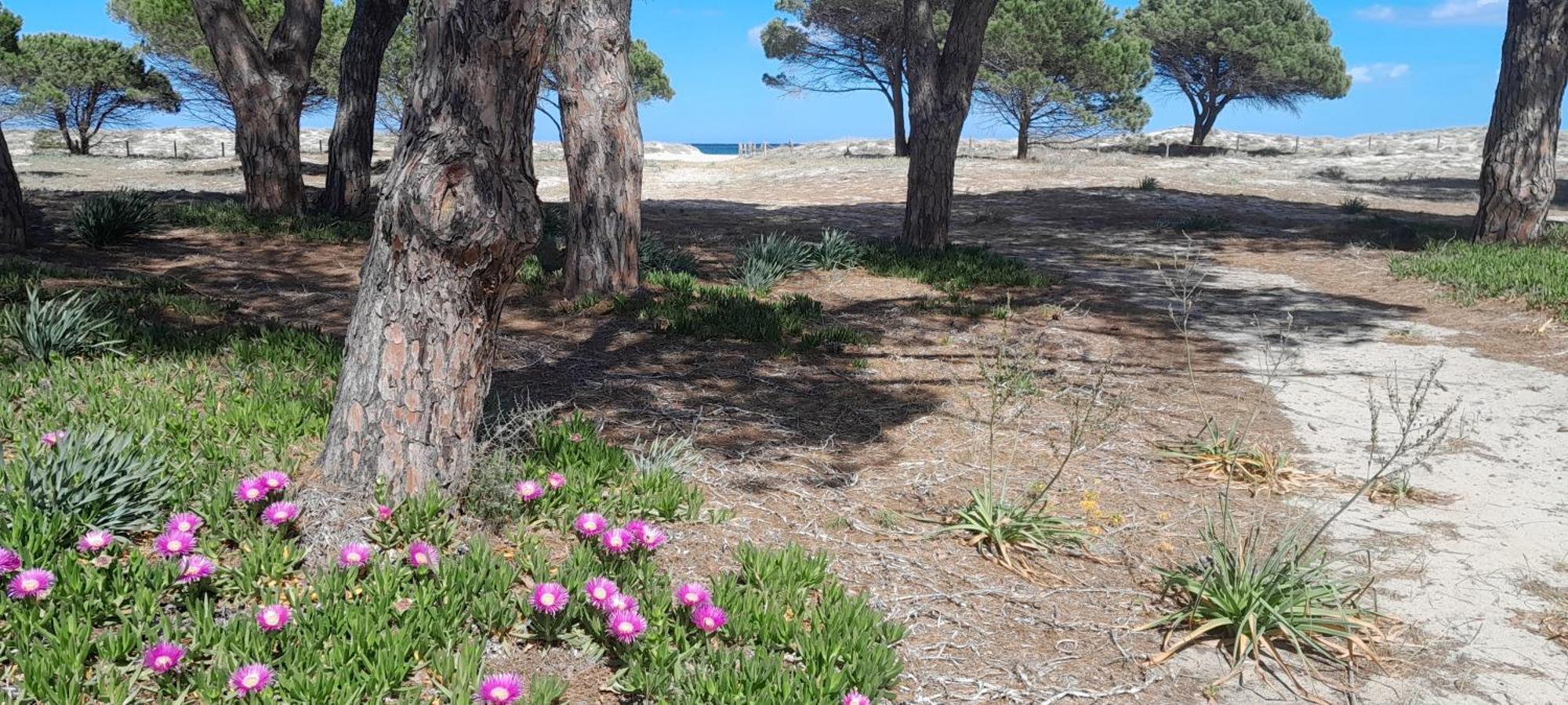 Resort Abbaia Ba Budoni Bagian luar foto