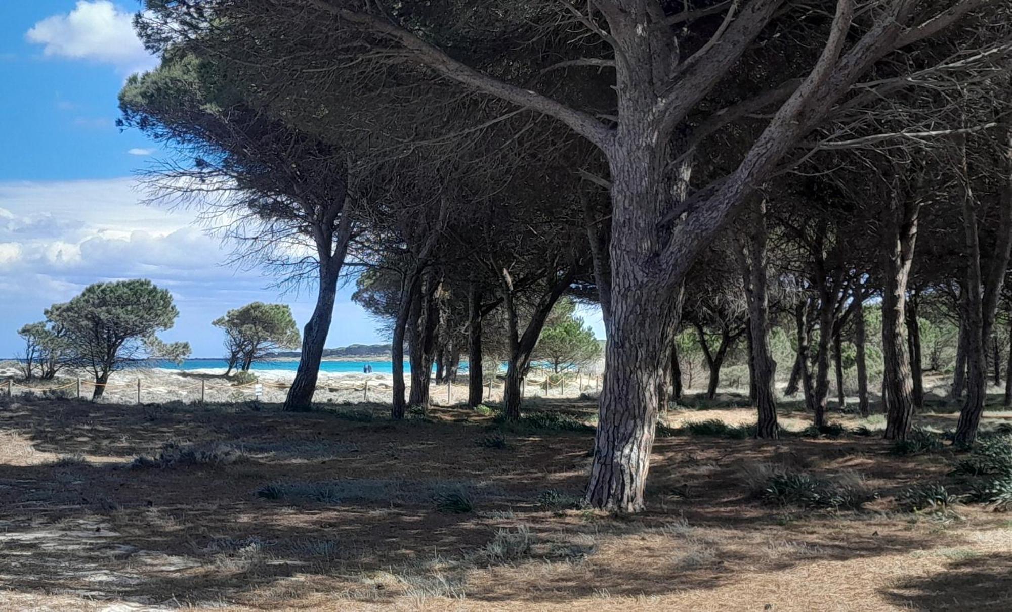 Resort Abbaia Ba Budoni Bagian luar foto